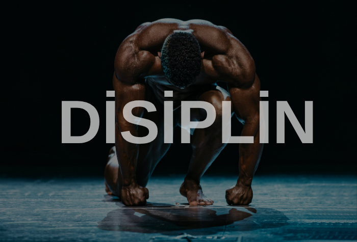 disiplin